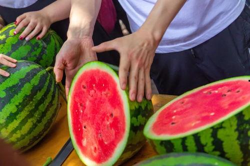 看戏吃瓜西瓜被抢视频,看戏吃瓜西瓜被抢，现场视频曝光