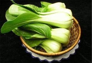 小瓜可以调菜吃嘛视频教程,跟着视频教程学调菜吃出新鲜感