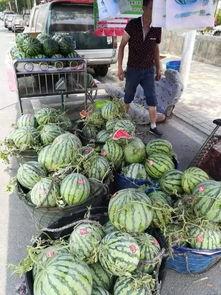 固原市吃瓜事件视频最新