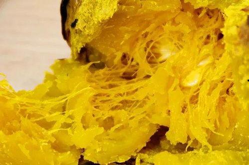 吃栗子瓜可以减肥吗视频,揭秘神奇减肥效果