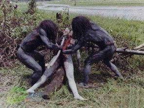 世界上恐怖的吃瓜群体视频,揭秘恐怖吃瓜群体惊悚瞬间