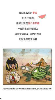 带你吃瓜历史故事视频,带你领略历史故事中的瓜香传奇