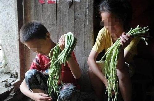 海角姐弟吃瓜黑料视频,揭秘视频背后的真相与争议