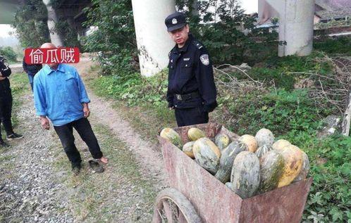 肥乡最新吃瓜事件视频曝光,视频曝光揭示惊人真相