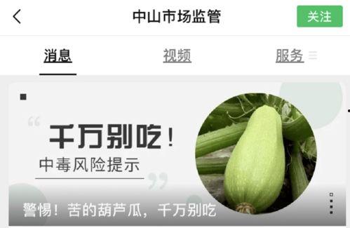 鱼吃葫芦瓜视频,一场奇妙的海洋美食之旅