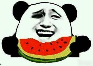 吃瓜群众的萌妹视频播放,瓜田里的“甜心”