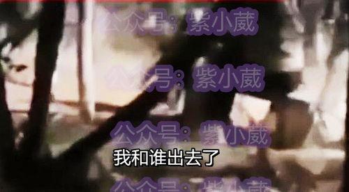 职校吃瓜视频,揭秘校园生活趣味瞬间