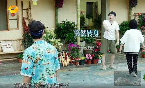 傣族吃瓜事件真相视频,真相与误解的碰撞