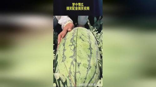 吃瓜搞怪配音视频下载安装,轻松打造趣味娱乐时光