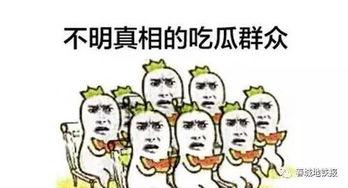 吃瓜群众小东萌视频大全,趣味横生的娱乐圈幕后揭秘