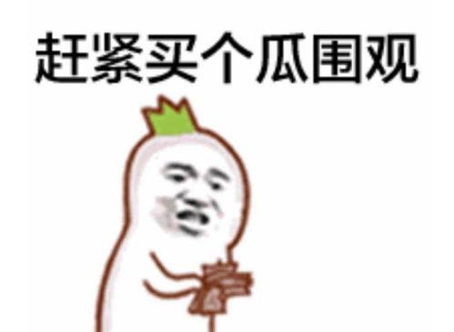 吃瓜群众小电驴视频,揭秘娱乐圈幕后故事