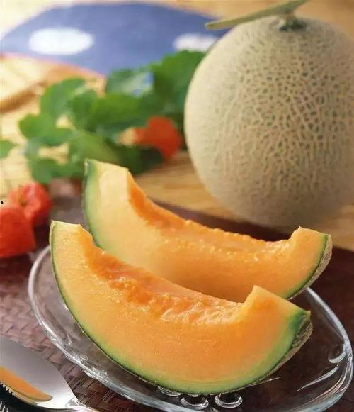 北极星吃哈密瓜视频,欢乐吃瓜瞬间引网友爆笑