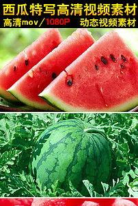 吃大瓜视频素材下载,热门素材下载攻略