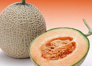 大嘴猴吃哈密瓜视频大全,哈密瓜盛宴视频大盘点