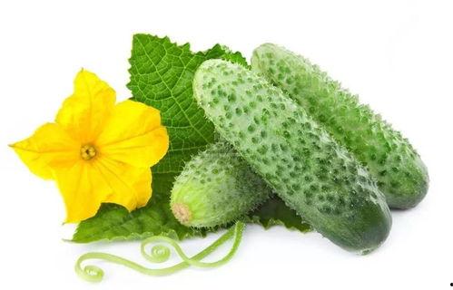 吃喀秋莎酸瓜视频教程大全