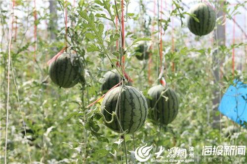 五一免费吃瓜视频观看,热门视频大放送，畅享娱乐时光