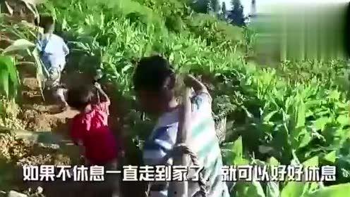厦门拔刀事件吃瓜视频,网络热议的瞬间回顾