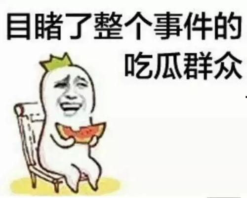 吃瓜群众卢小宁视频,揭秘娱乐圈幕后故事