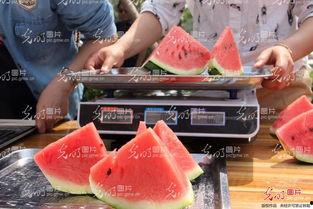 山东吃瓜最新视频播放,揭秘幕后故事，热门话题再掀热议狂潮