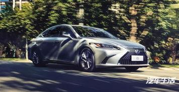 深圳雷克萨斯吃瓜事件视频,一场引发热议的豪车争议