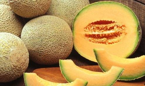 没人和我吃哈密瓜视频