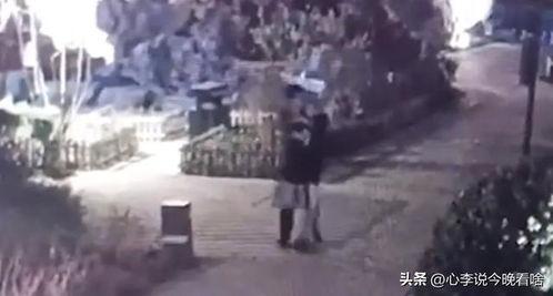 宁陵吃瓜事件视频完整版,揭秘背后真相与网络舆论风暴