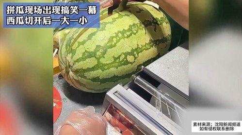 吃瓜搞笑视频一大一小,大小瓜王同框，搞笑视频笑翻众人