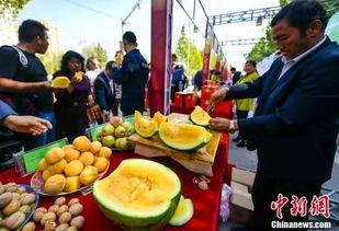 贵州最新吃瓜事件视频,视频揭秘惊人真相