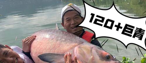 抖音男的钓鱼吃瓜视频大全,钓鱼吃瓜两不误，趣味视频大全来袭！