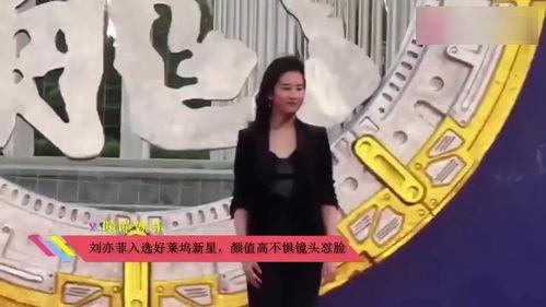 吃瓜群众喂鹅视频,趣味横生的鹅鹅互动瞬间