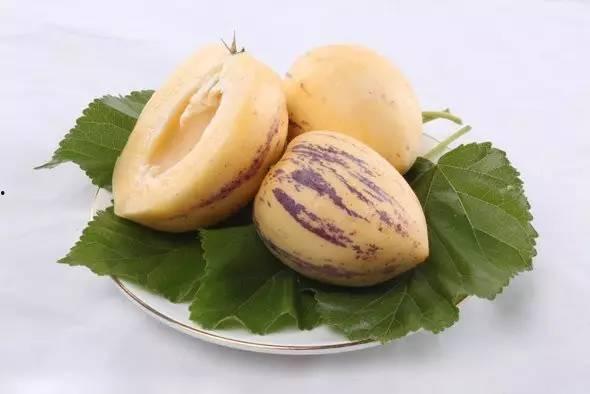 野生人类吃蜜瓜视频播放,视频播放引发热议