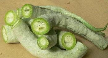 吃蛇瓜搞笑视频下载安装,笑料横生的美食之旅