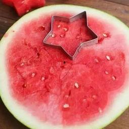 小陈吃瓜吐籽视频大全,趣味横生视频大全