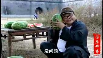 吃瓜视频恶搞事件,网络狂欢背后的争议与反思