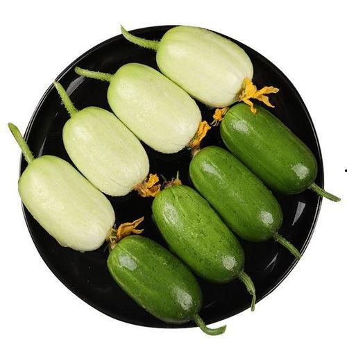 阿瓜怎么吃最好吃视频,视频揭秘最佳食用方法