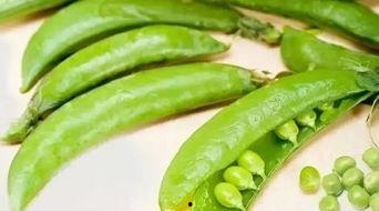 矮瓜加羊角豆可以吃吗视频,揭秘美味佳肴背后的秘密