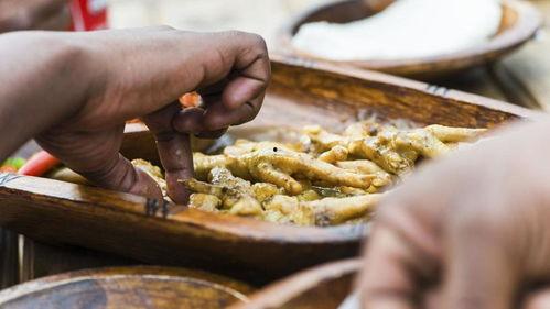 中国人吃韩式鸡瓜视频