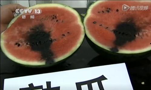 郸城县的吃瓜视频,一场视觉与味蕾的双重盛宴