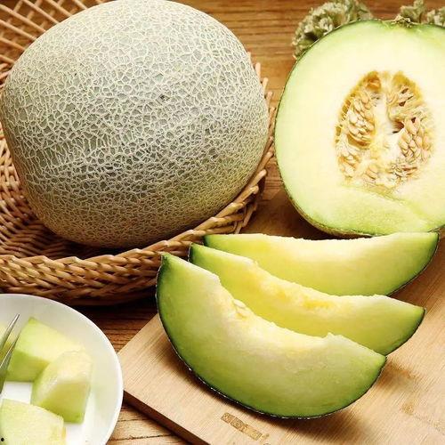 外国小哥吃大挂蜜瓜视频,甜蜜滋味征服味蕾