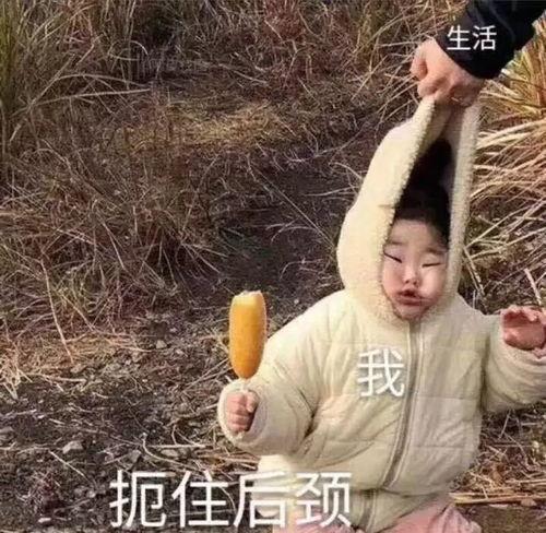 沙雕吃瓜视频合集,带你领略网络幽默的魅力