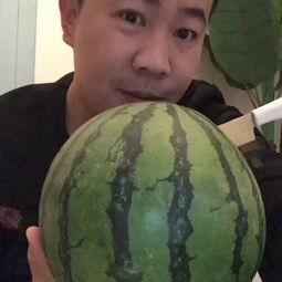 麒麟西瓜吃瓜视频大全,趣味横生的夏日消暑盛宴