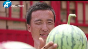 北美网红吃瓜视频大全在线观看